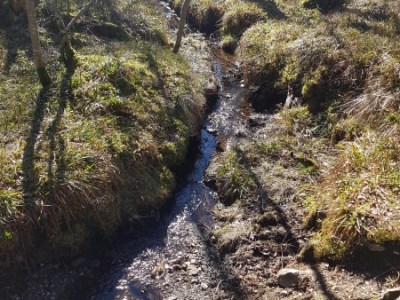 Du skal være tro av André&nbsp;Bjerke