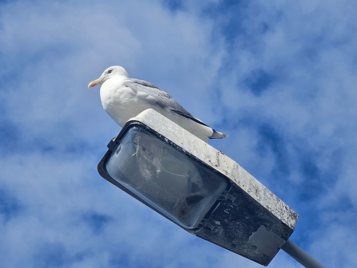 Hvordan oppnå det du&nbsp;ønsker?